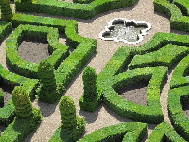 Jardins à la française du château et domaine de Villandry, à découvrir lors d’une visite guidée
